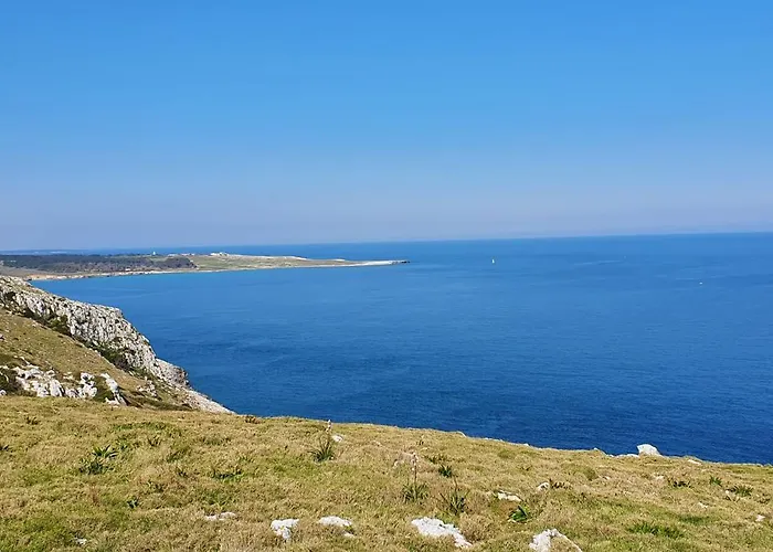 Borgo Minerva 住宿加早餐酒店 3*